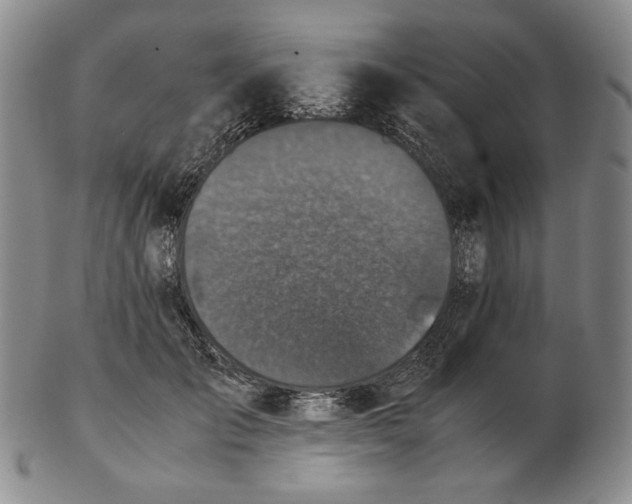 X0000102340701200808221631