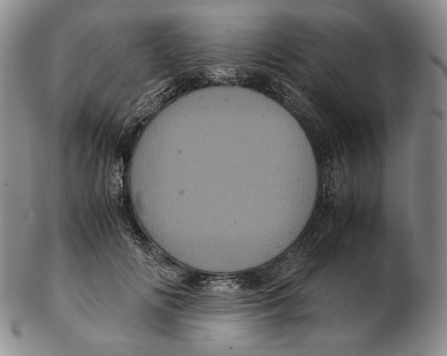 X0000102340702200808221631