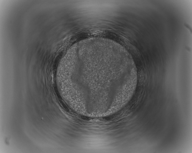 X0000102340703200808221631