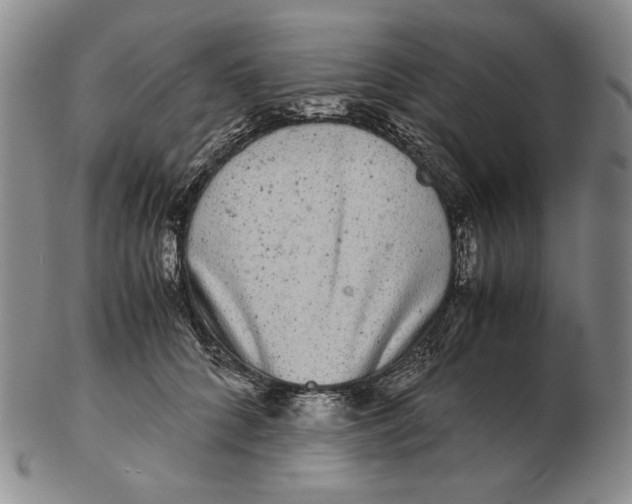 X0000102340704200808221631