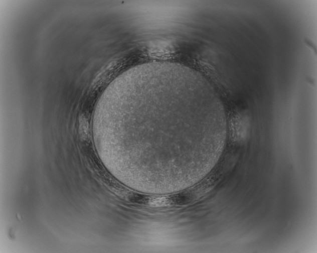 X0000102340705200808221631