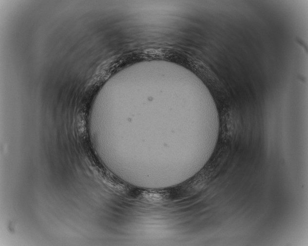 X0000102340706200808221631