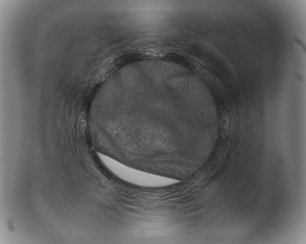 X0000102340707200808221631