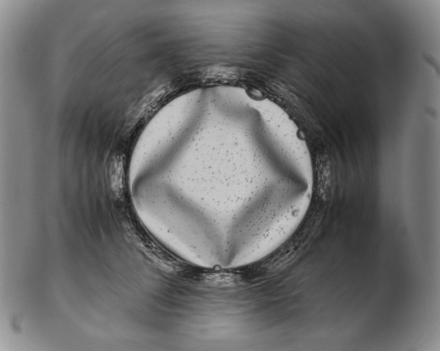 X0000102340708200808221631