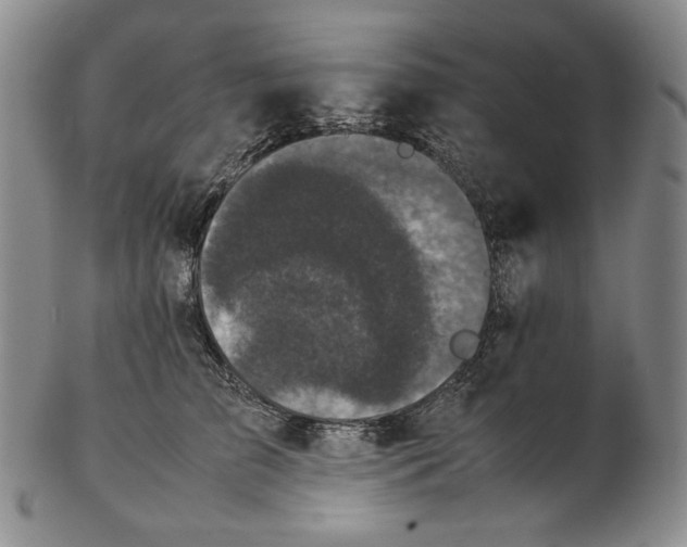 X0000102340709200808221631