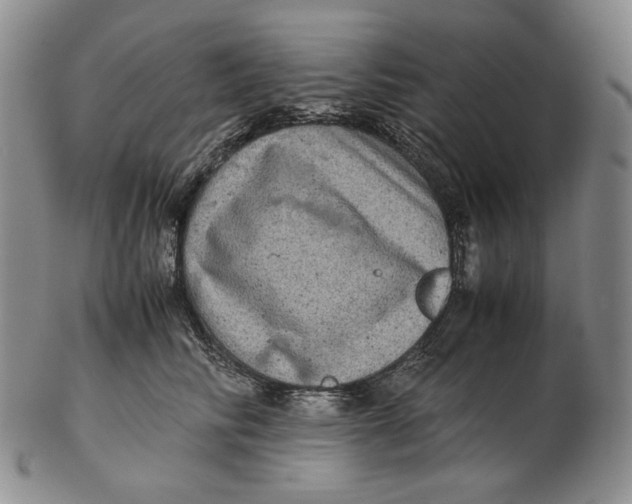 X0000102340710200808221631