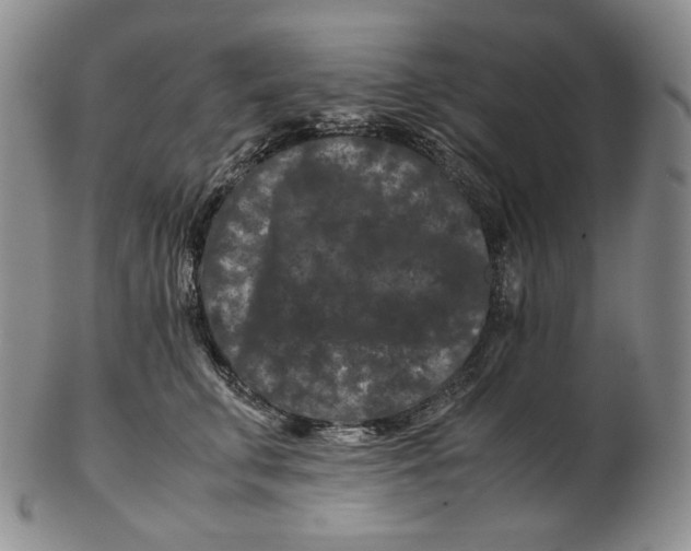 X0000102340711200808221631