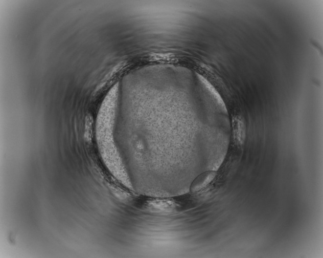 X0000102340712200808221631