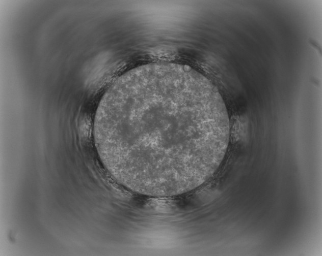 X0000102340713200808221631