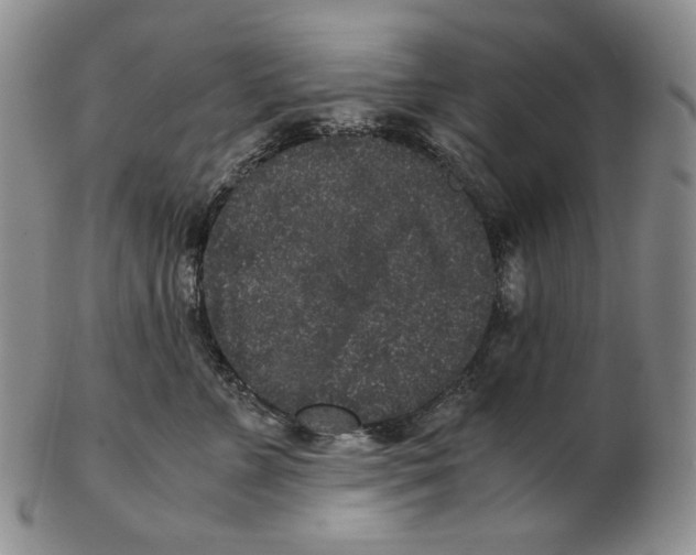 X0000102340715200808221631