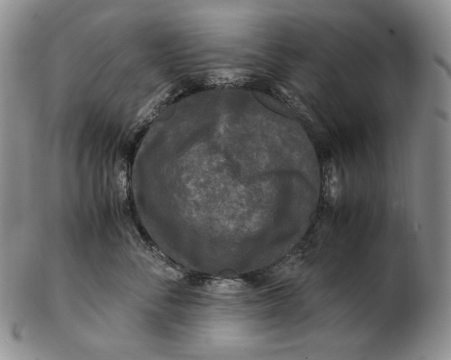 X0000102340716200808221631