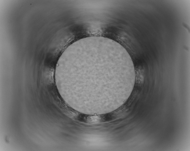 X0000102340717200808221631