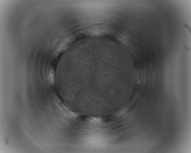 X0000102340718200808221631