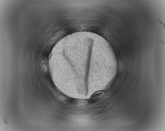 X0000102340719200808221631