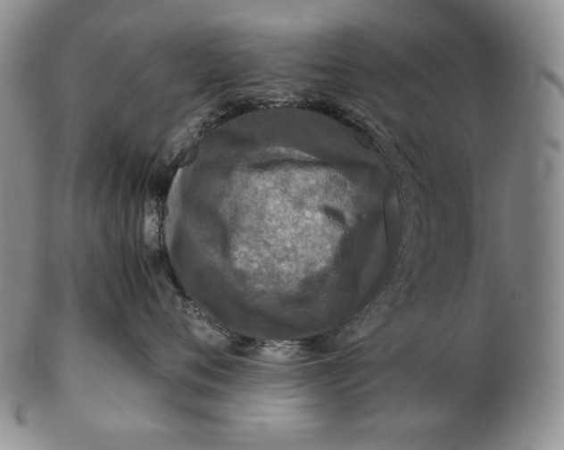 X0000102340720200808221631