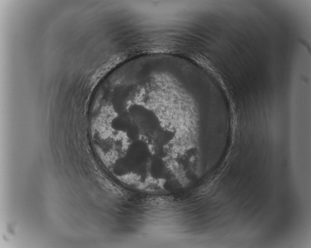 X0000102340721200808221630