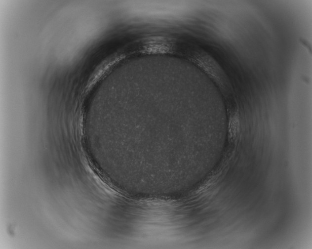 X0000102340722200808221630