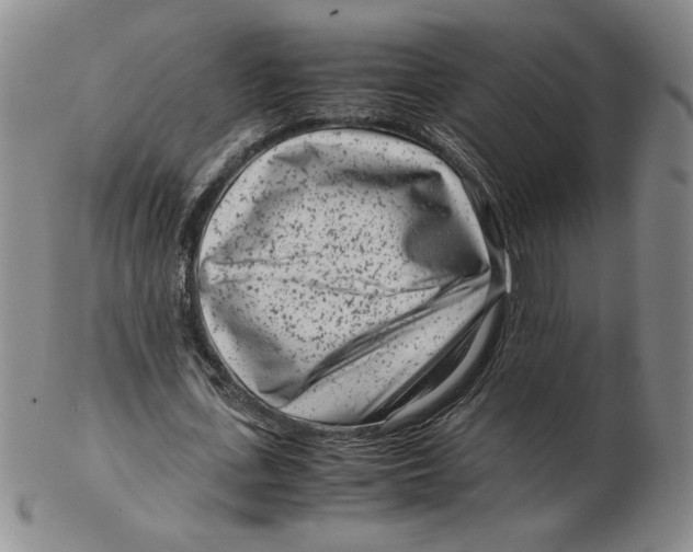 X0000102340723200808221630