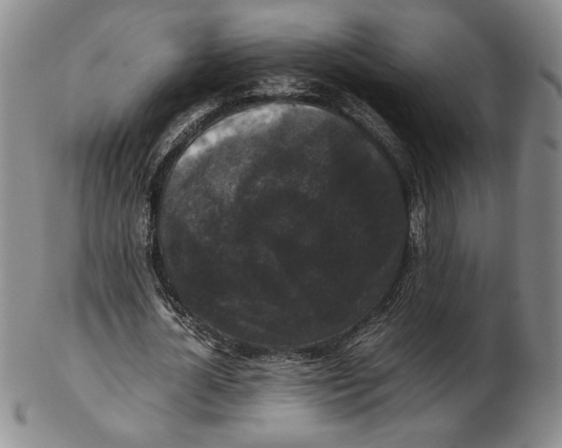 X0000102340724200808221630