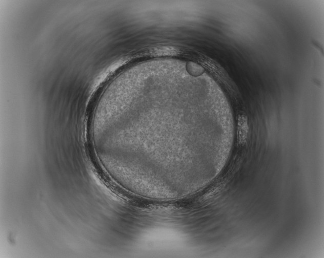 X0000102340726200808221630