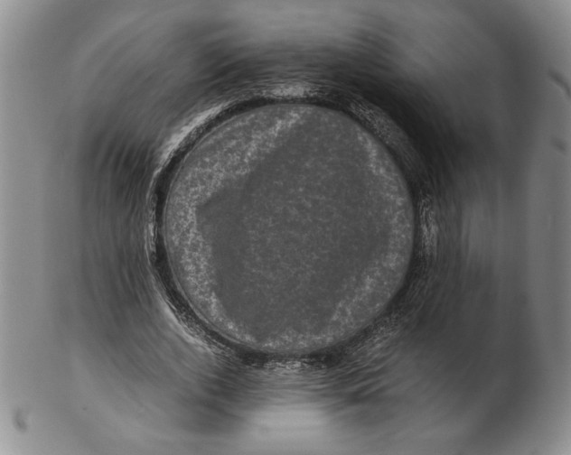 X0000102340728200808221630