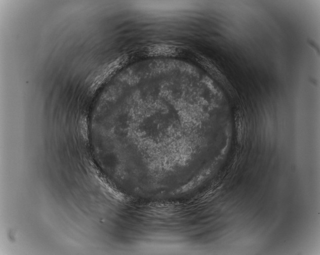 X0000102340729200808221630