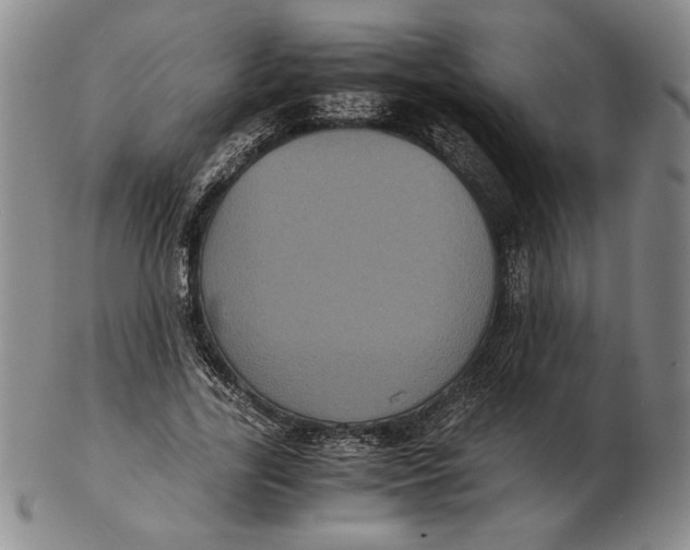 X0000102340731200808221630