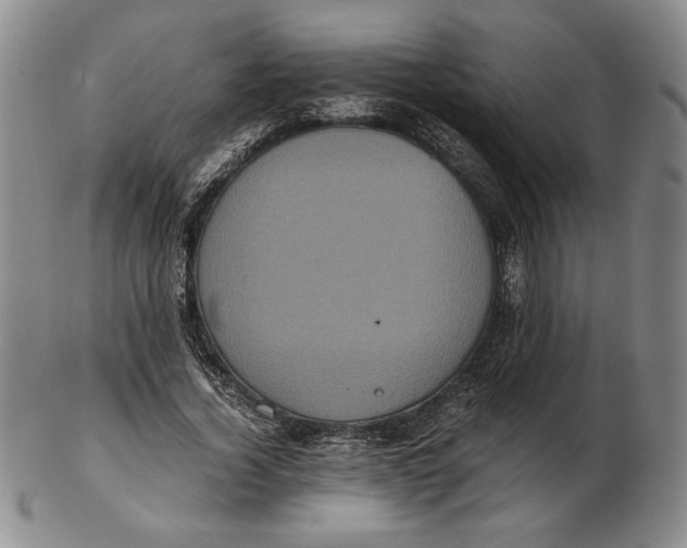 X0000102340732200808221630