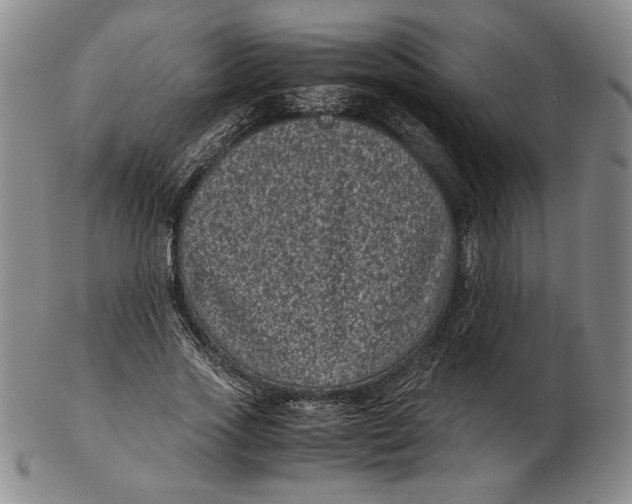 X0000102340733200808221630