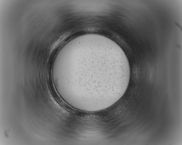 X0000102340734200808221630