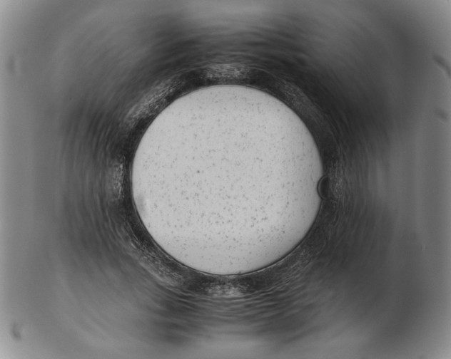 X0000102340735200808221630