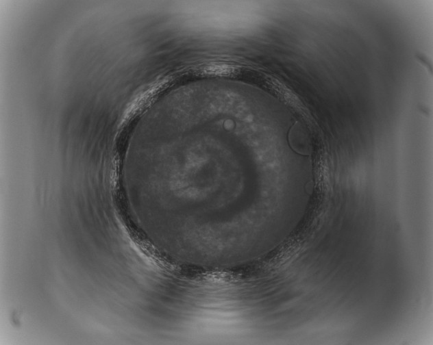 X0000102340736200808221630