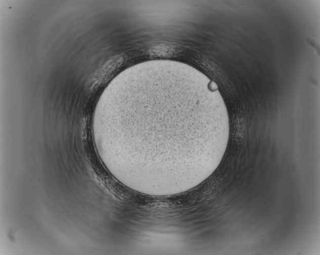 X0000102340738200808221630