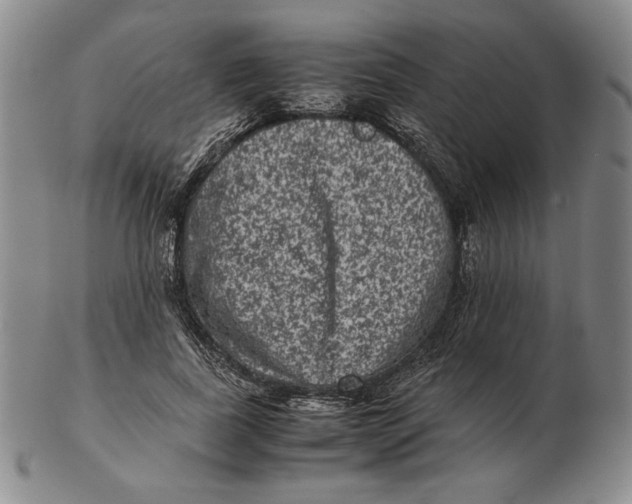 X0000102340739200808221630