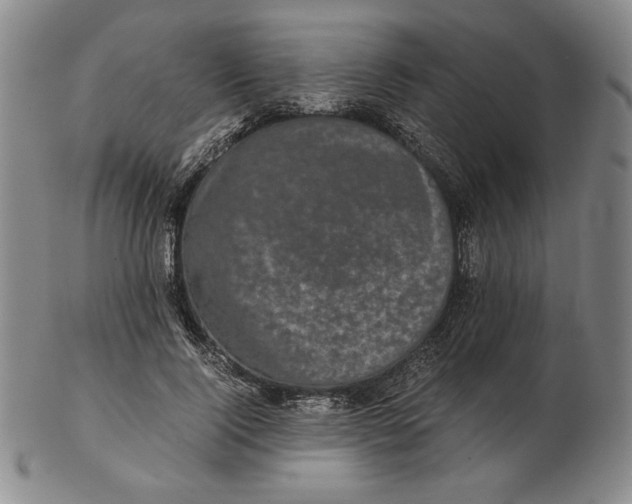 X0000102340740200808221630