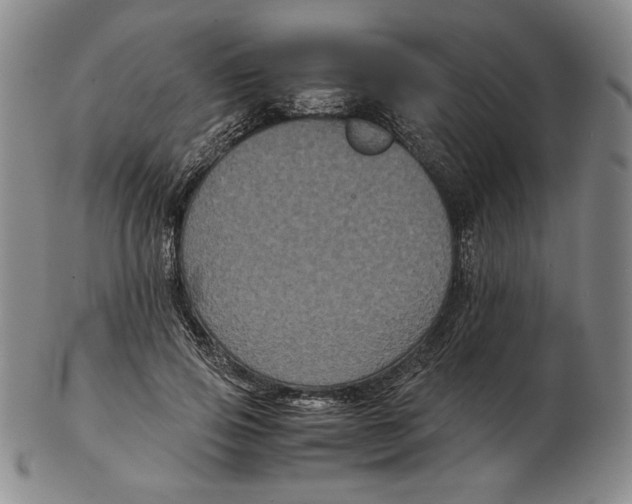 X0000102340741200808221630