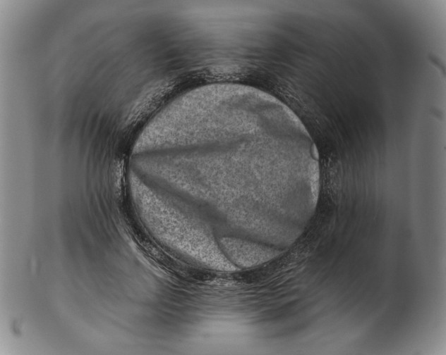 X0000102340742200808221630