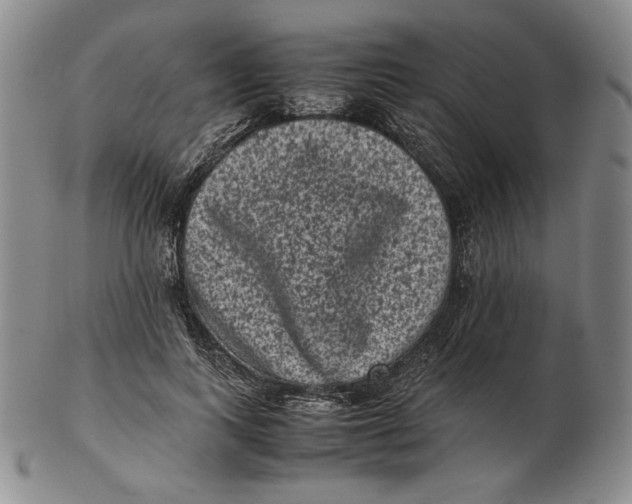 X0000102340743200808221630