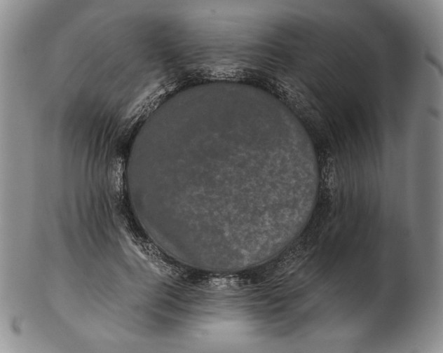 X0000102340744200808221630