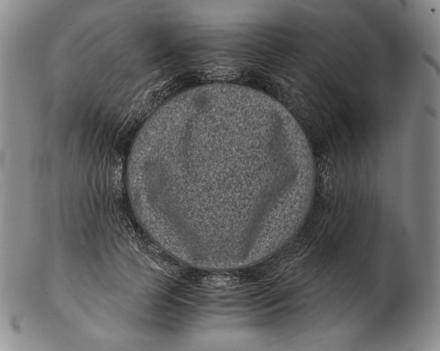 X0000102340745200808221630