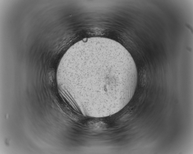 X0000102340747200808221630