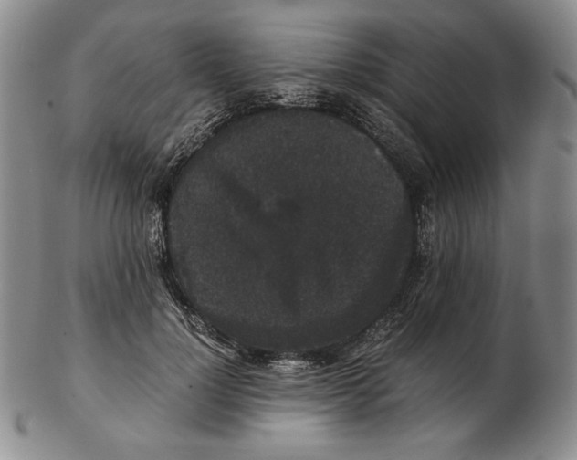 X0000102340748200808221630