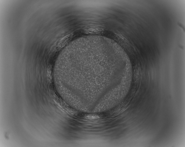 X0000102340749200808221630