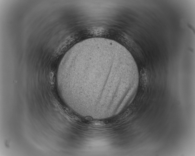 X0000102340750200808221630