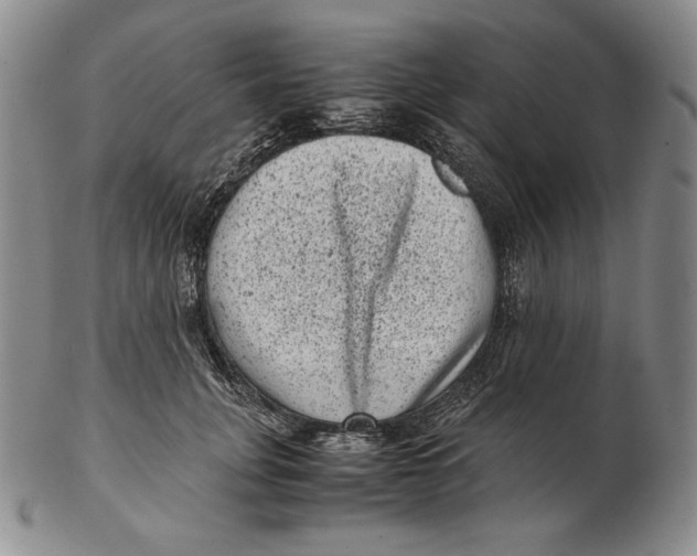 X0000102340751200808221630