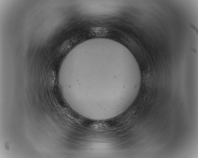 X0000102340752200808221630