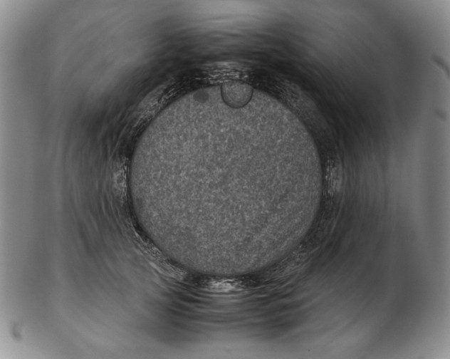 X0000102340753200808221630