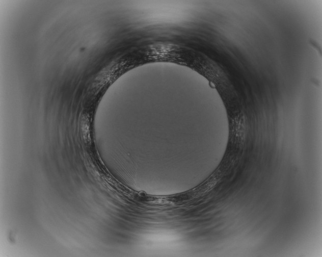 X0000102340754200808221630