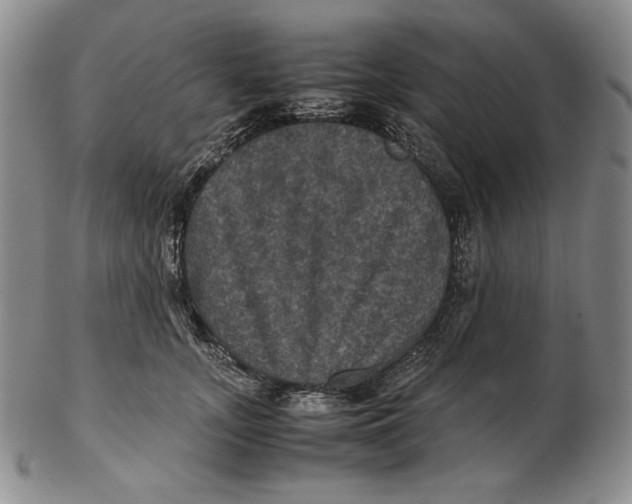 X0000102340755200808221630