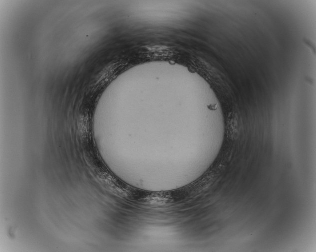 X0000102340756200808221630